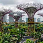 The Architecture of Tomorrow: How Singapore Redefined the Concept of a ‘City in a Garden