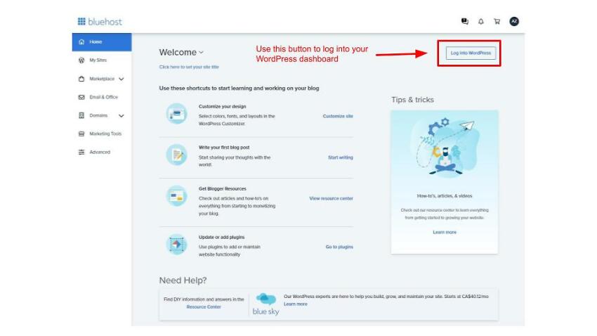 Bluehost WordPress hosting admin panel and WordPress dashboard login.